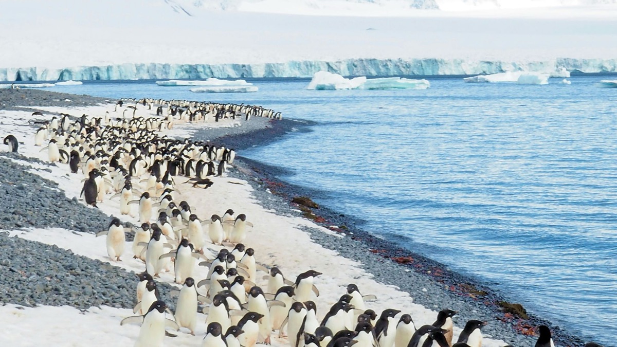 5 Beautiful Things You Can Only Witness In The Antarctic