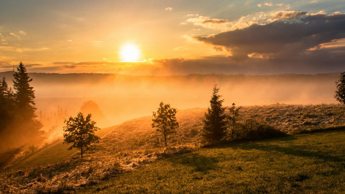 5 Burning Hot Facts About The Sun You'll Want To Know