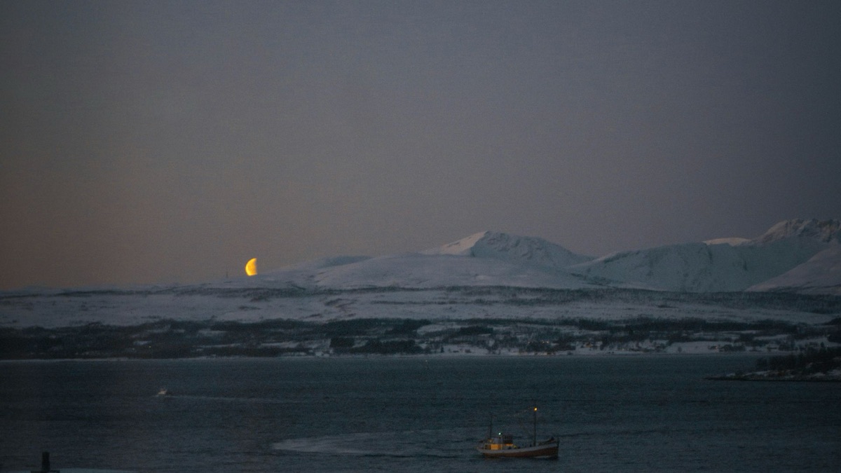 5 Beautiful Things You Can Only Witness In The Antarctic
